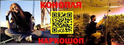 спайс Гай
