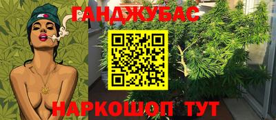 сатива Будённовск