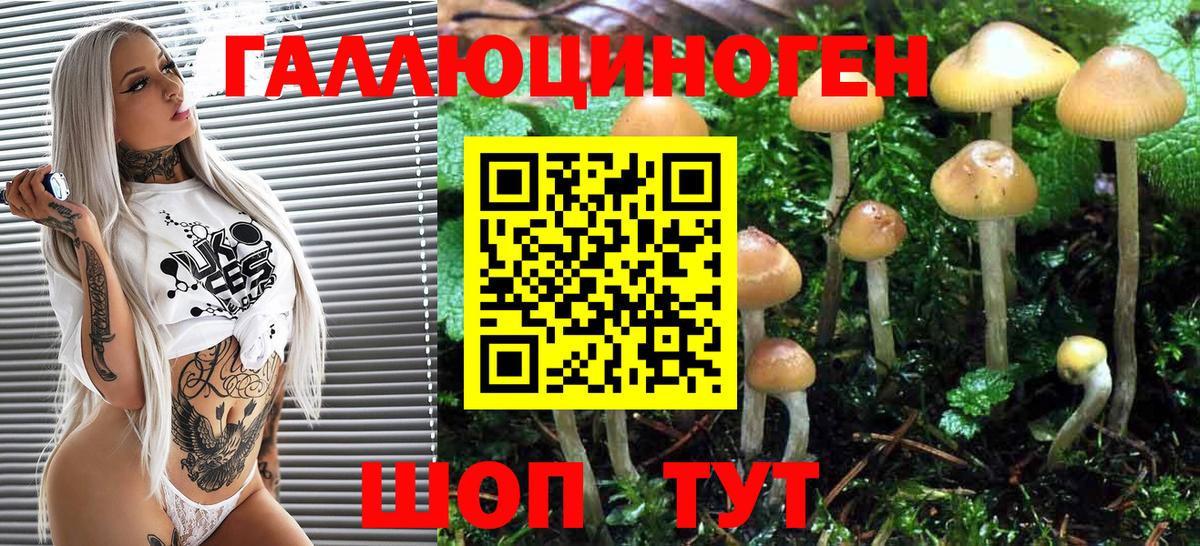 Галлюциногенные грибы GOLDEN TEACHER  Каменск-Шахтинский 