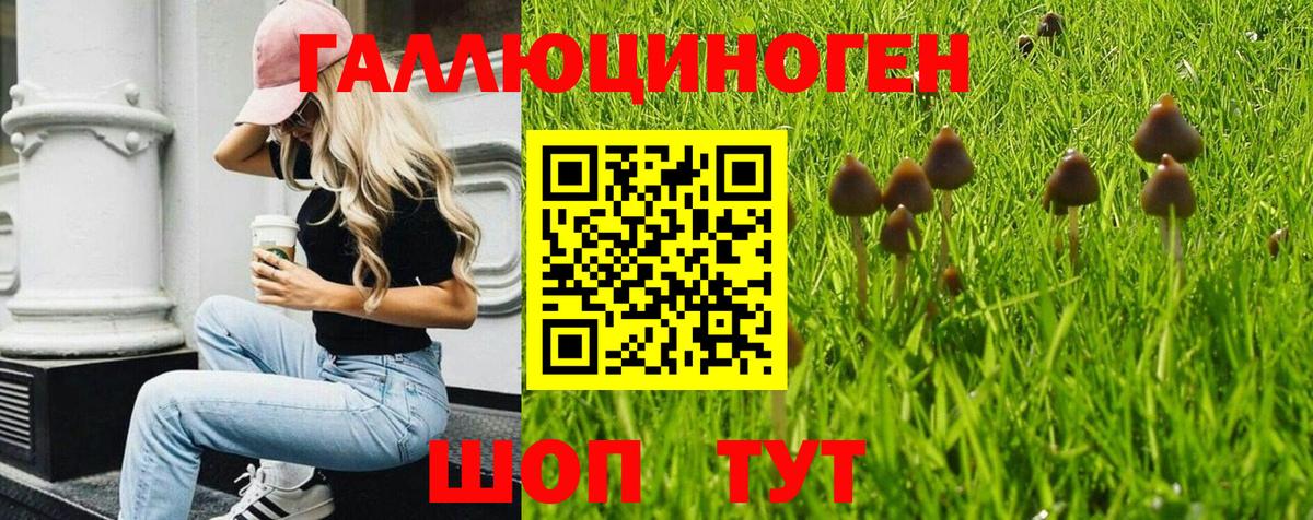 Галлюциногенные грибы ЛСД Каменск-Шахтинский