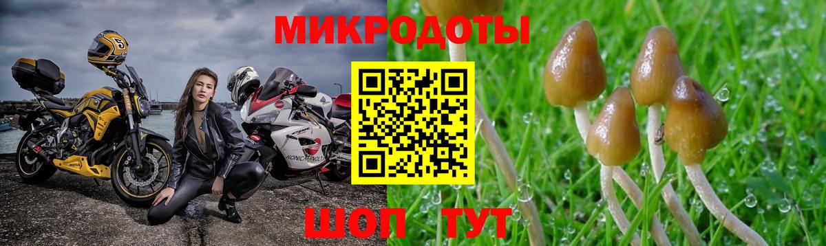 Галлюциногенные грибы ЛСД  Вход с VPN  Каменск-Шахтинский  Галлюциногенные грибы GOLDEN TEACHER 